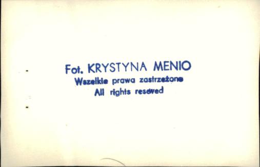 dom, skan 10