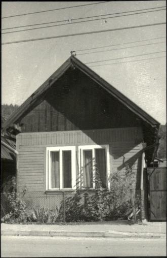 dom, skan 3