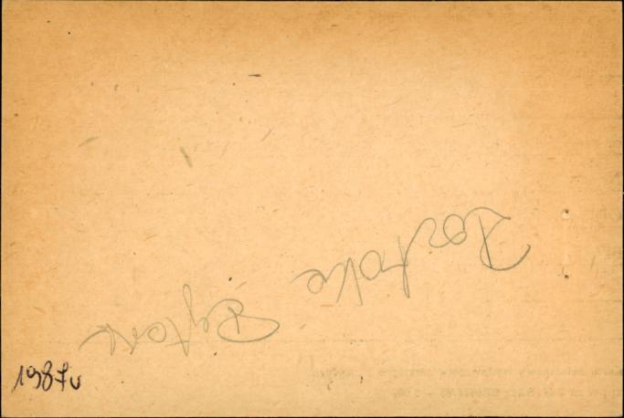willa, skan 2