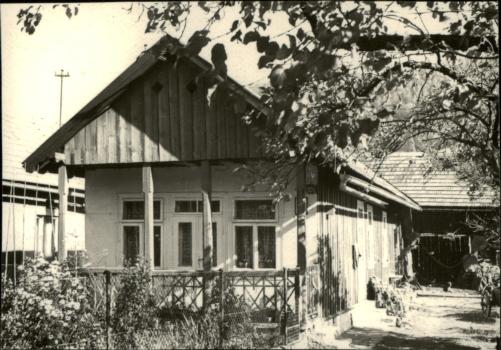dom, skan 5