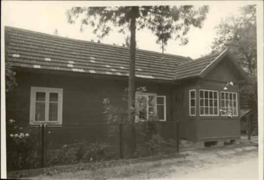 dom, skan 3