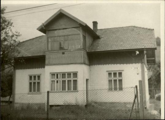 dom, skan 3