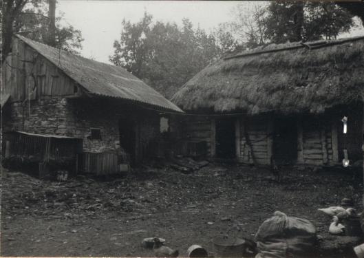 obórka, skan 2