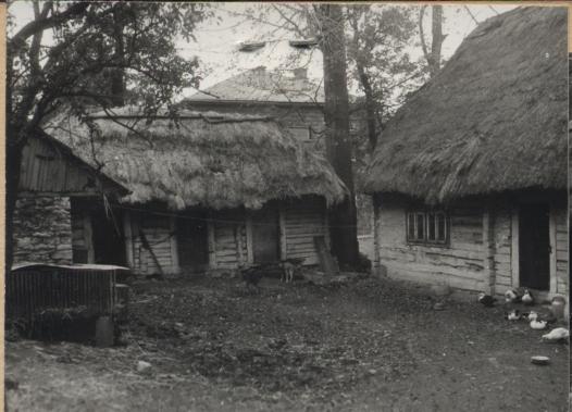 obórka, skan 3