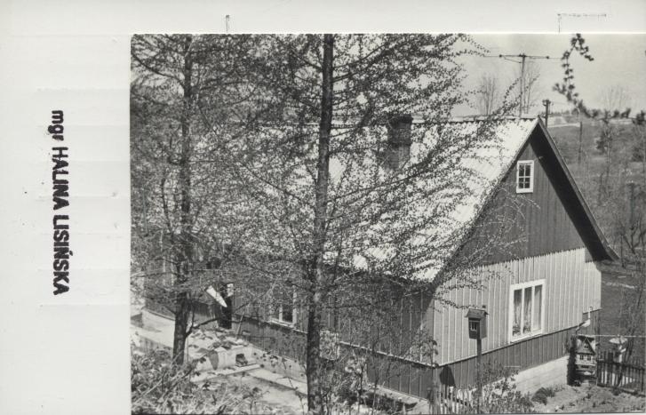 dom, skan 2