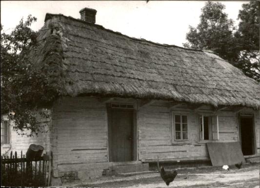 obórka, skan 3