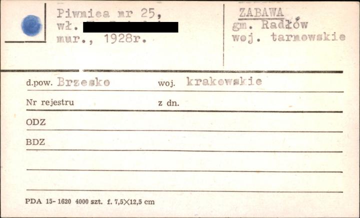 piwnica, skan 1