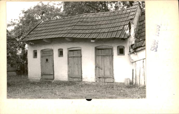 stajnia, skan 2