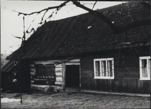 dom, skan 3