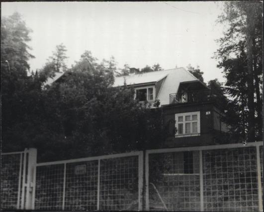 willa, skan 5