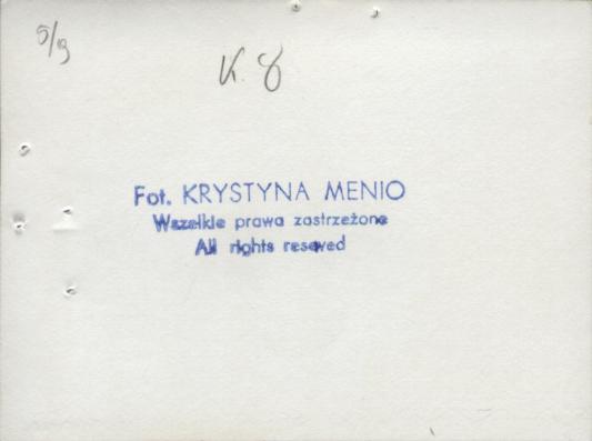 willa Kościuszko, skan 14