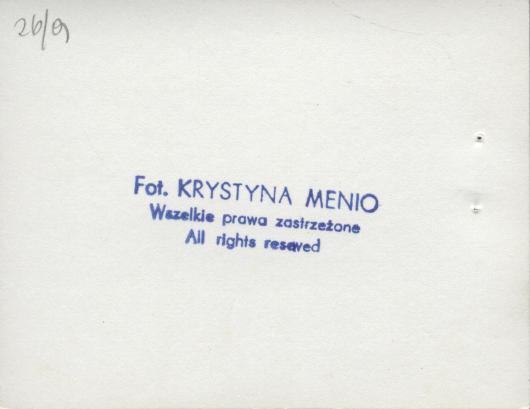 willa, skan 11