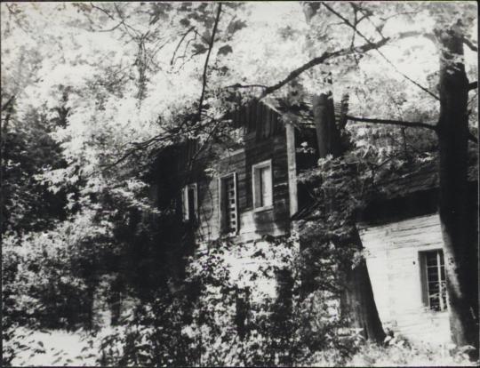 willa Kazimierz, skan 10