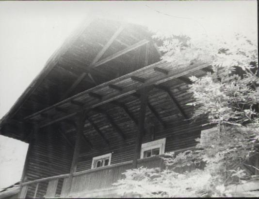 willa Kazimierz, skan 16