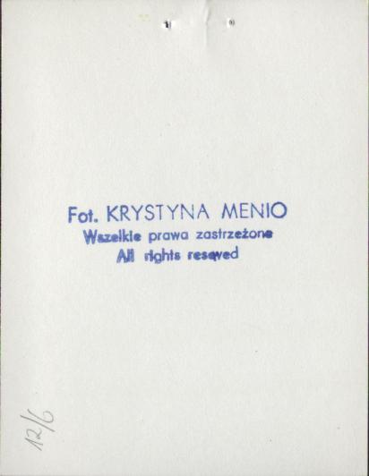 willa Pod św. Antonim, skan 5