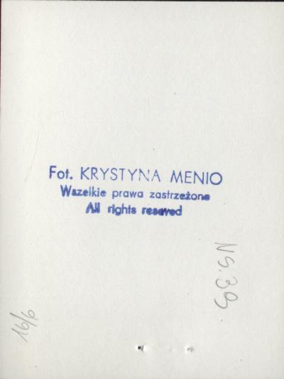 willa, skan 4