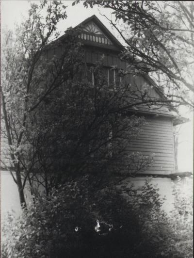 willa, skan 5