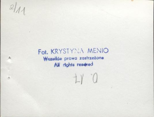 willa, skan 6