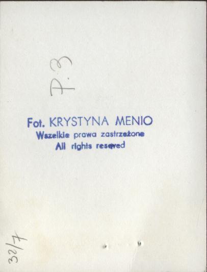 willa Scholastyka, skan 8