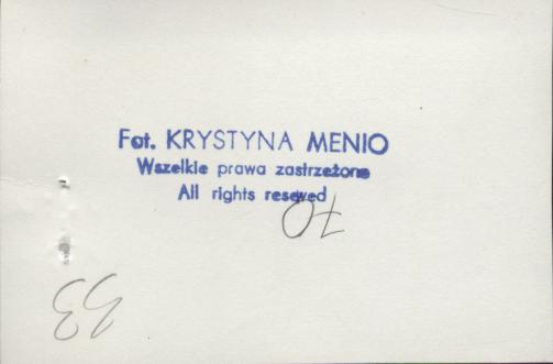 willa, skan 6