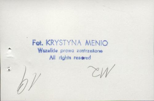 willa, skan 4