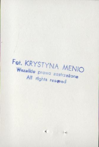 willa (Słonianka), skan 6