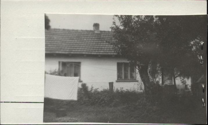 dom, skan 2
