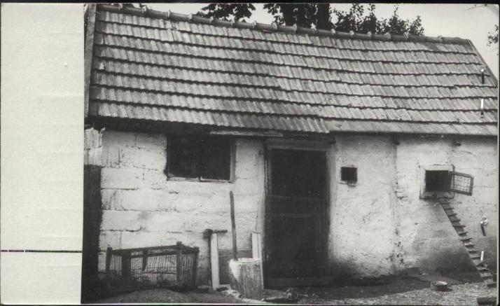 obora przy domu, skan 2