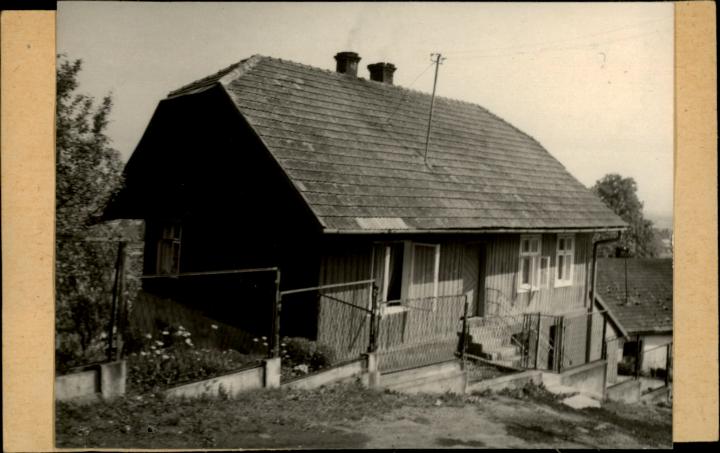dom, skan 2