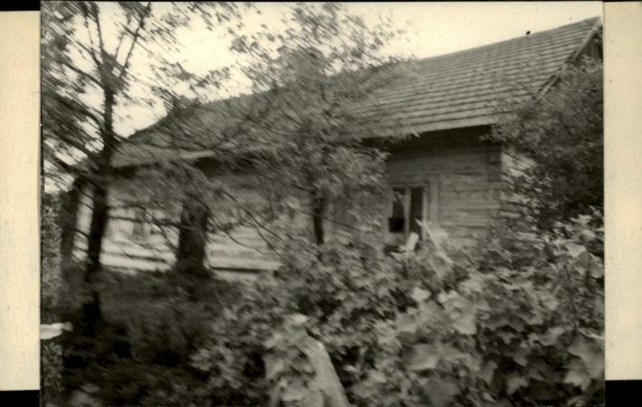 dom, skan 2