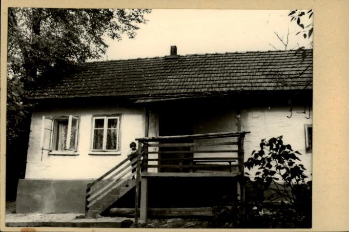 dom, skan 2