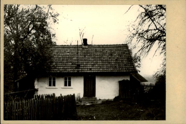 dom, skan 2