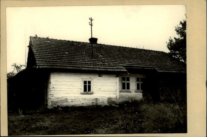 dom, skan 2