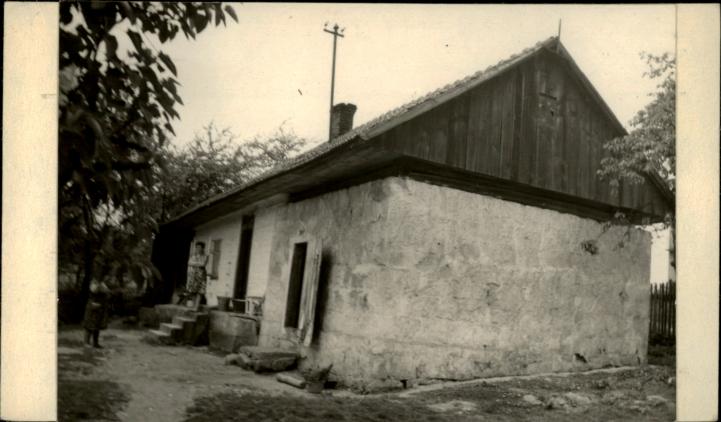 dom, skan 2
