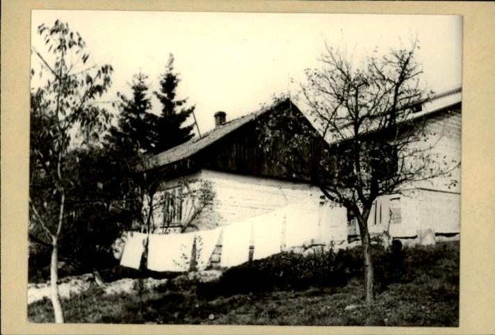 dom, skan 2