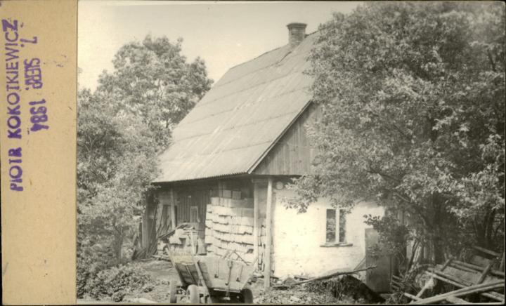 dom, skan 2