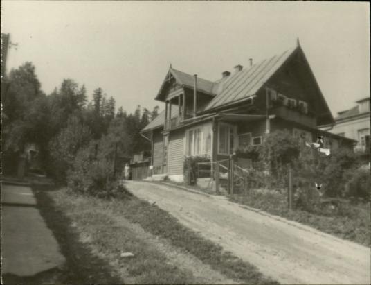 willa, skan 2