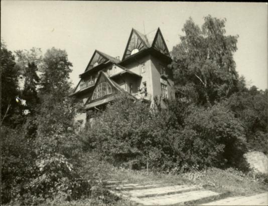 willa Dewajtis, skan 2