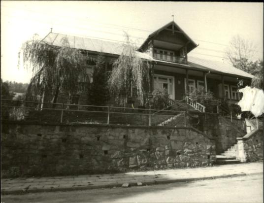 willa Alpejska, skan 2