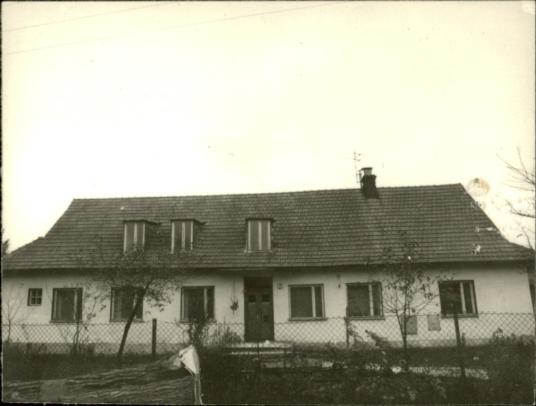 dom, skan 2