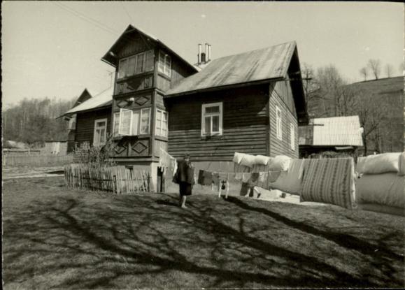 dom, skan 2