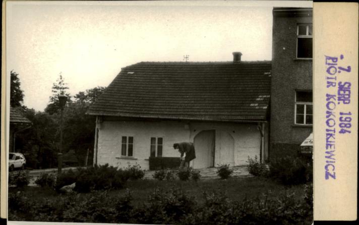 dom, skan 2