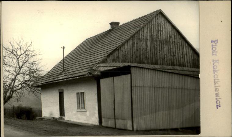 dom, skan 2