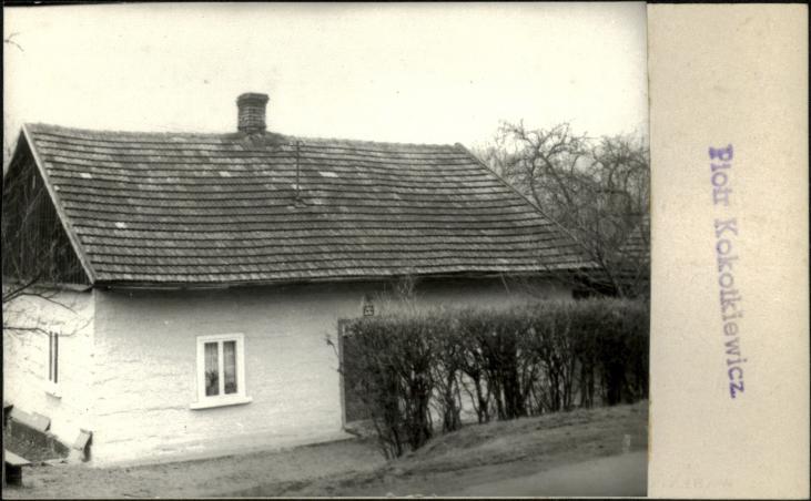 dom, skan 2