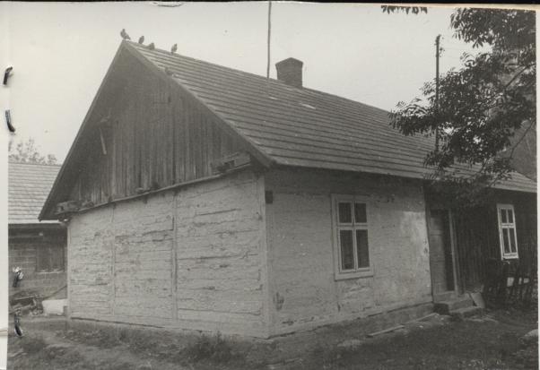 dom, skan 2