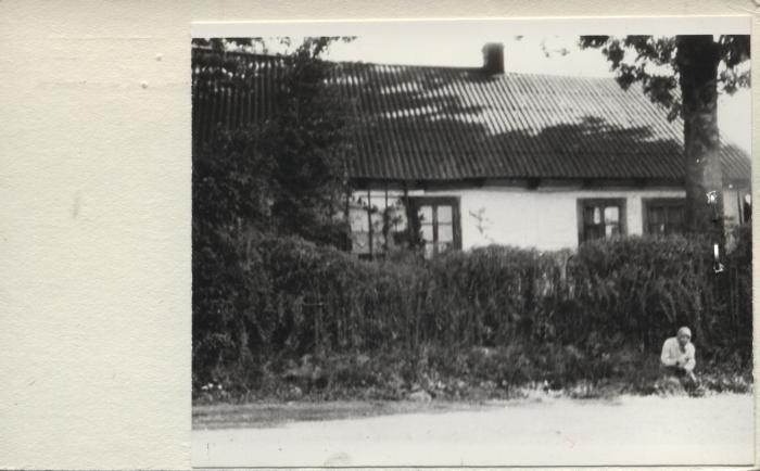dom, skan 2