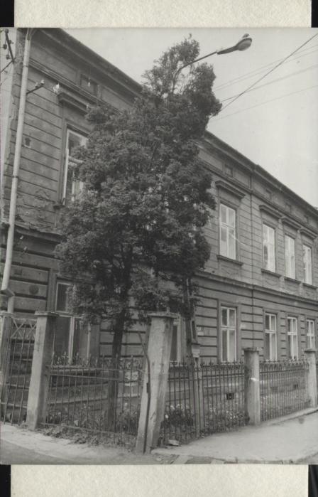 dom, skan 2