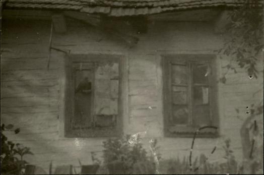 chałupa, skan 3