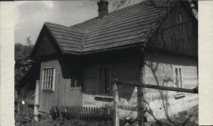 dom, skan 2