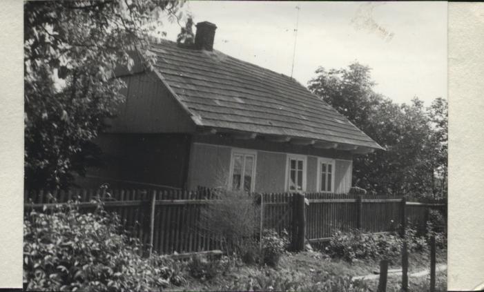 dom, skan 2